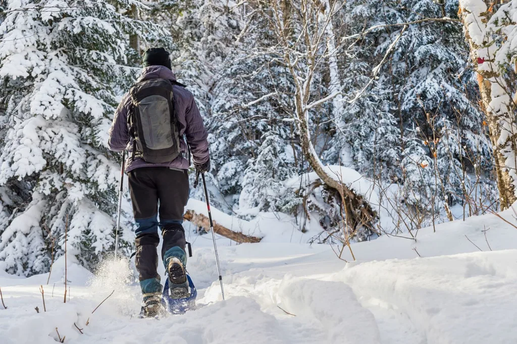 Snowshoeing Tour in the Jacques-Cartier National Park_5